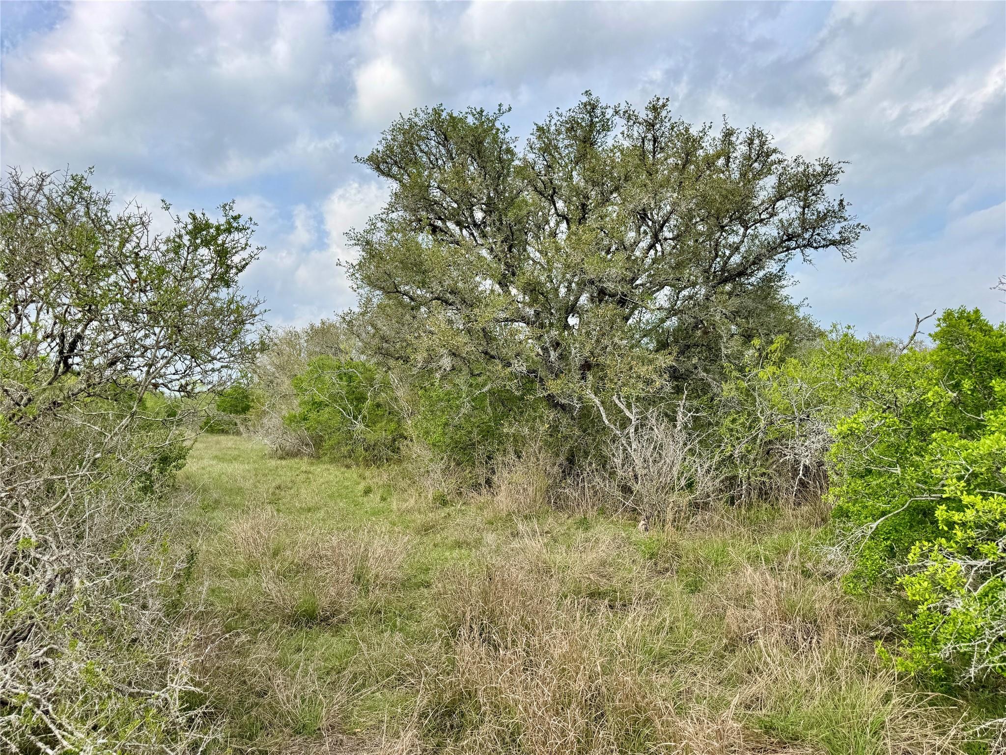 4025 Oil Field Road