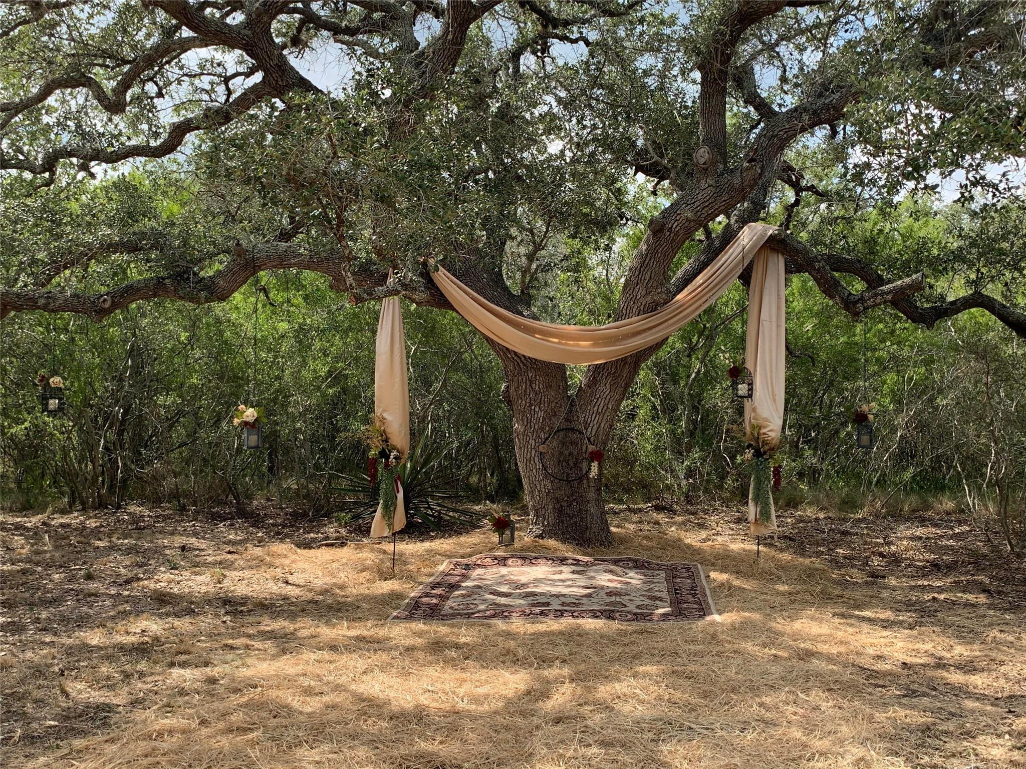 4025 Oil Field Road
