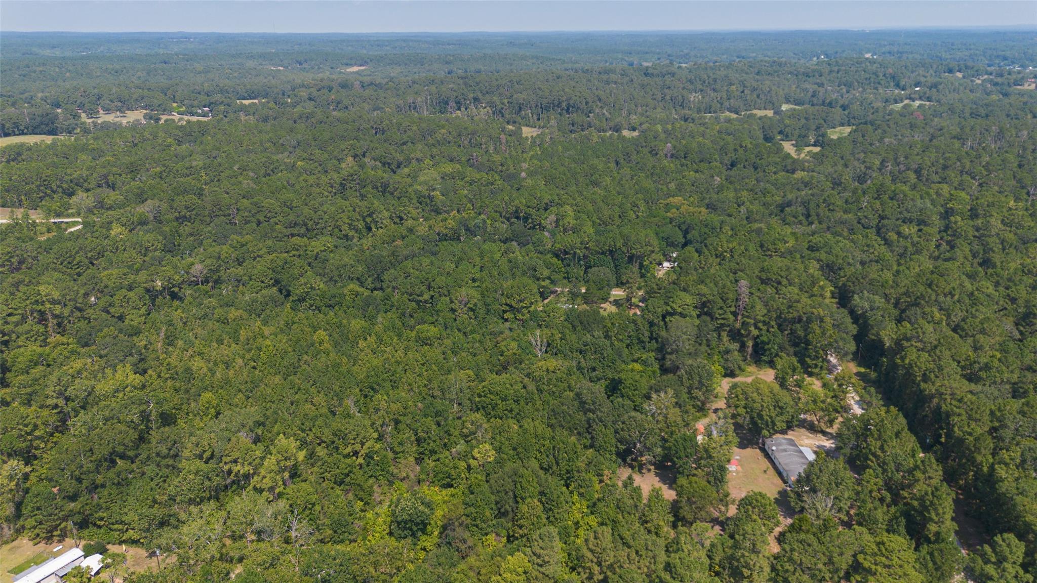 1031 Morris Creek Road