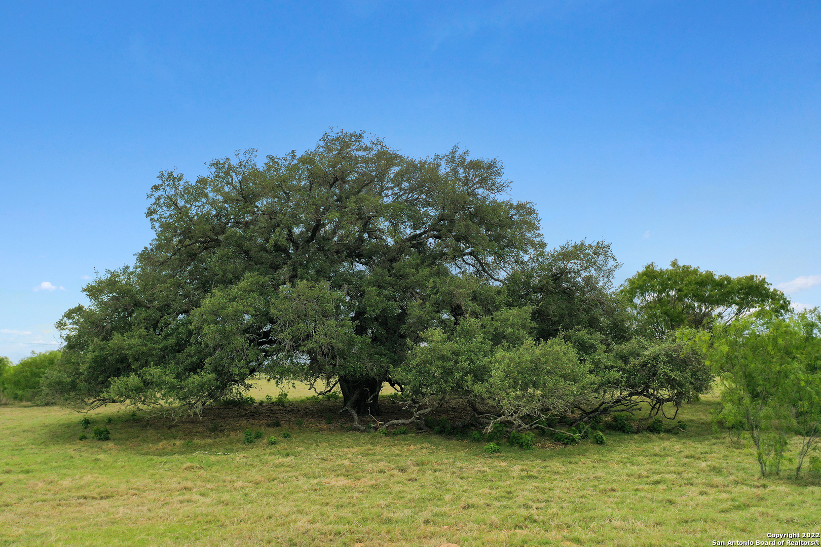 13857 Us Highway 87 S Lot 6