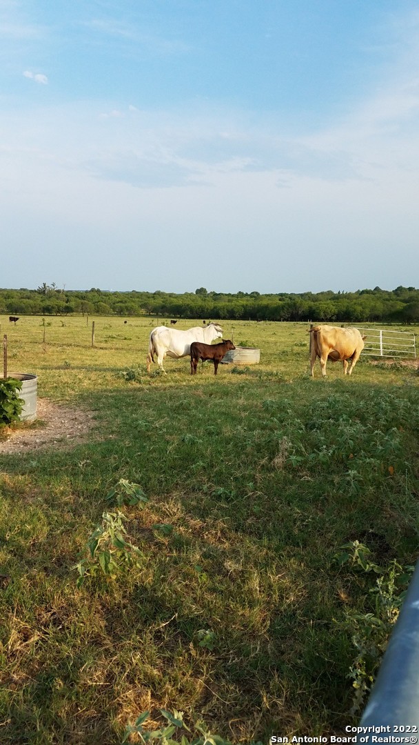 13857 Us Highway 87 S Lot 6