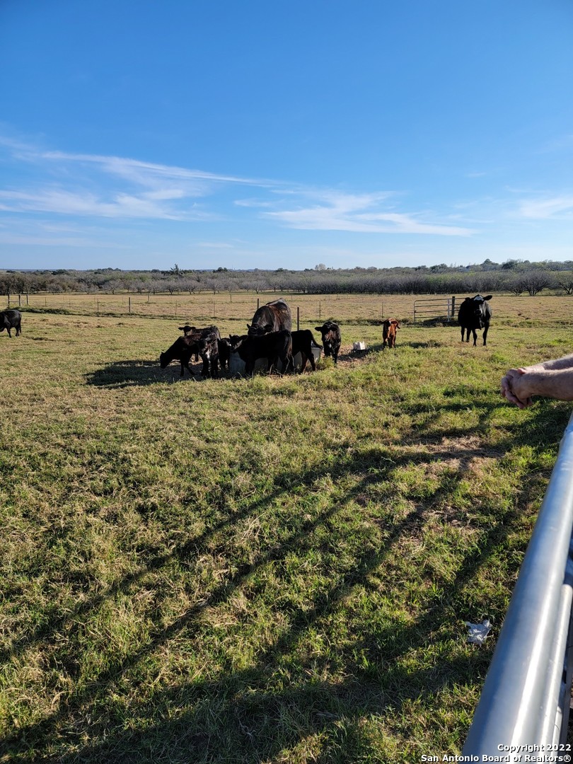 13857 Us Highway 87 S Lot 6