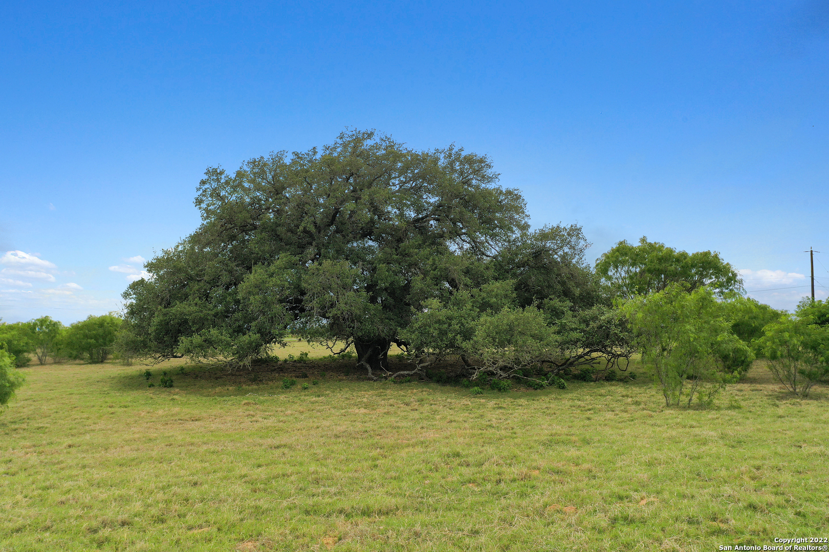 13857 Us Highway 87 S Lot 6
