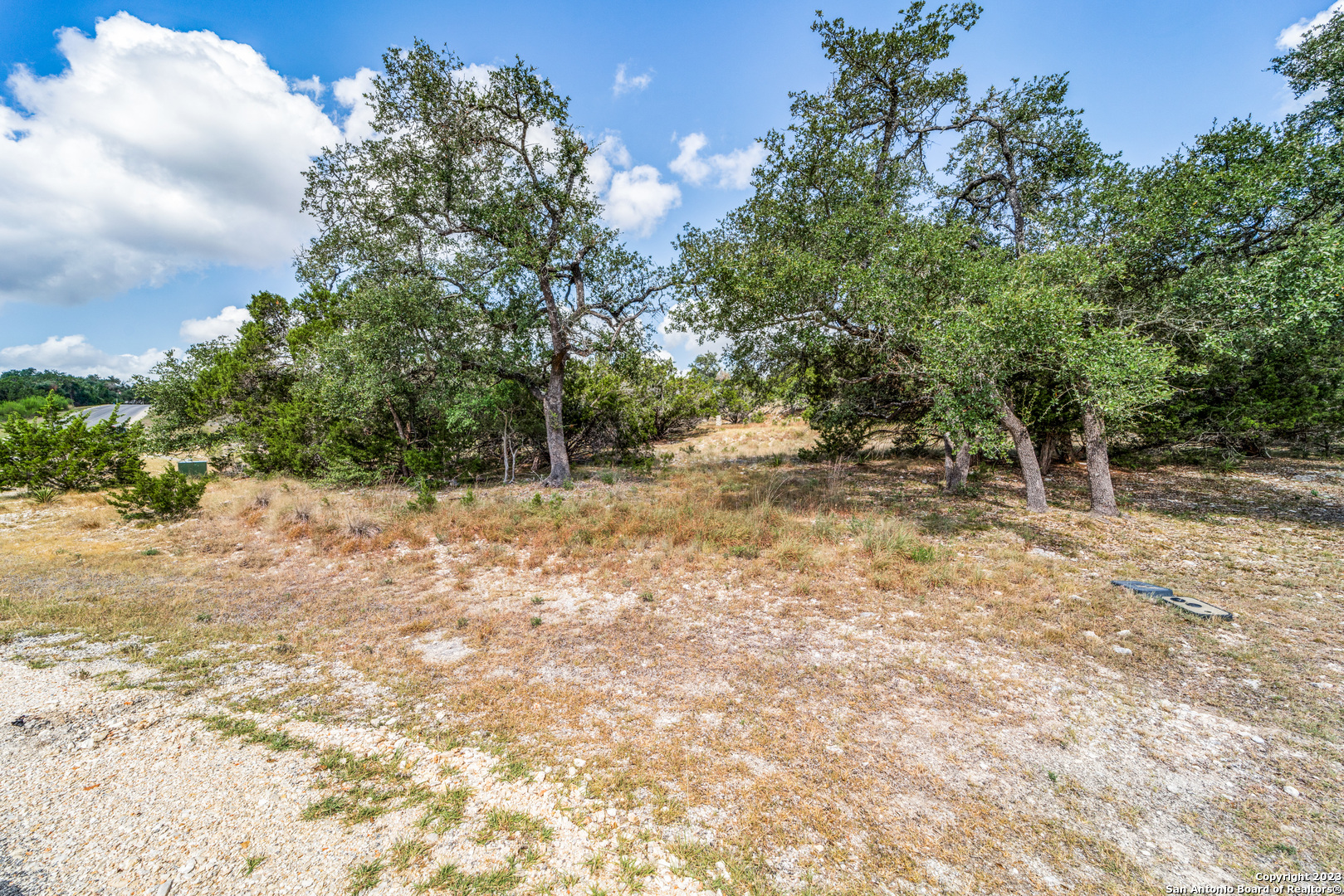 1817 Mountain Springs