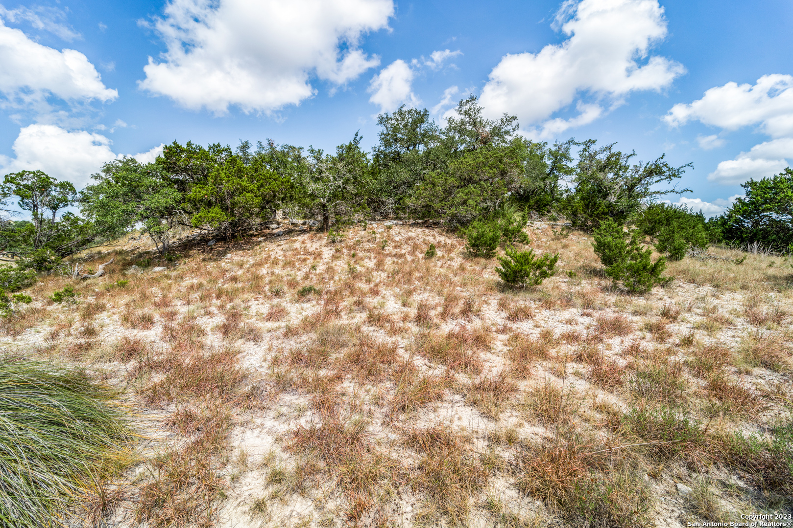 1817 Mountain Springs