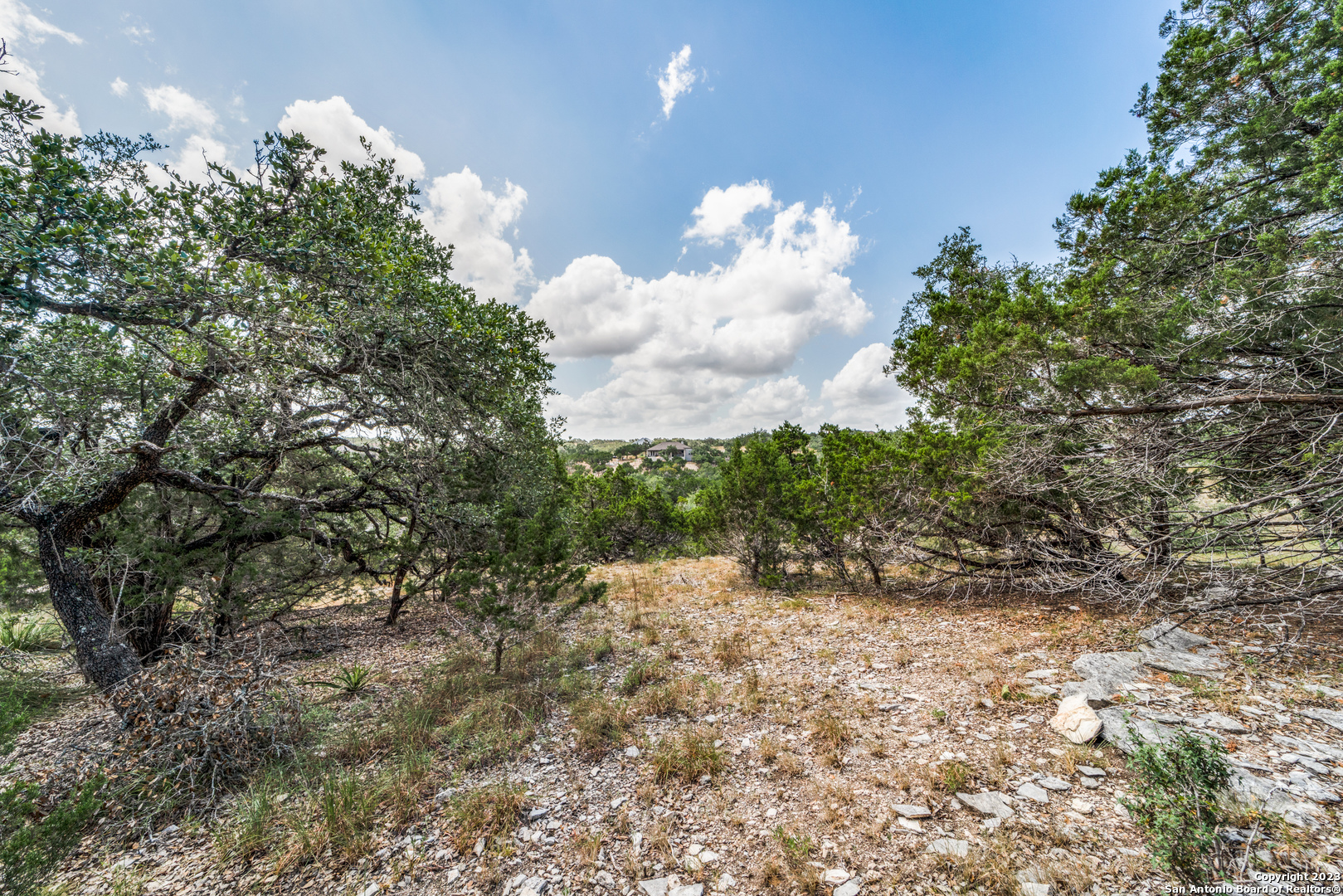 1817 Mountain Springs