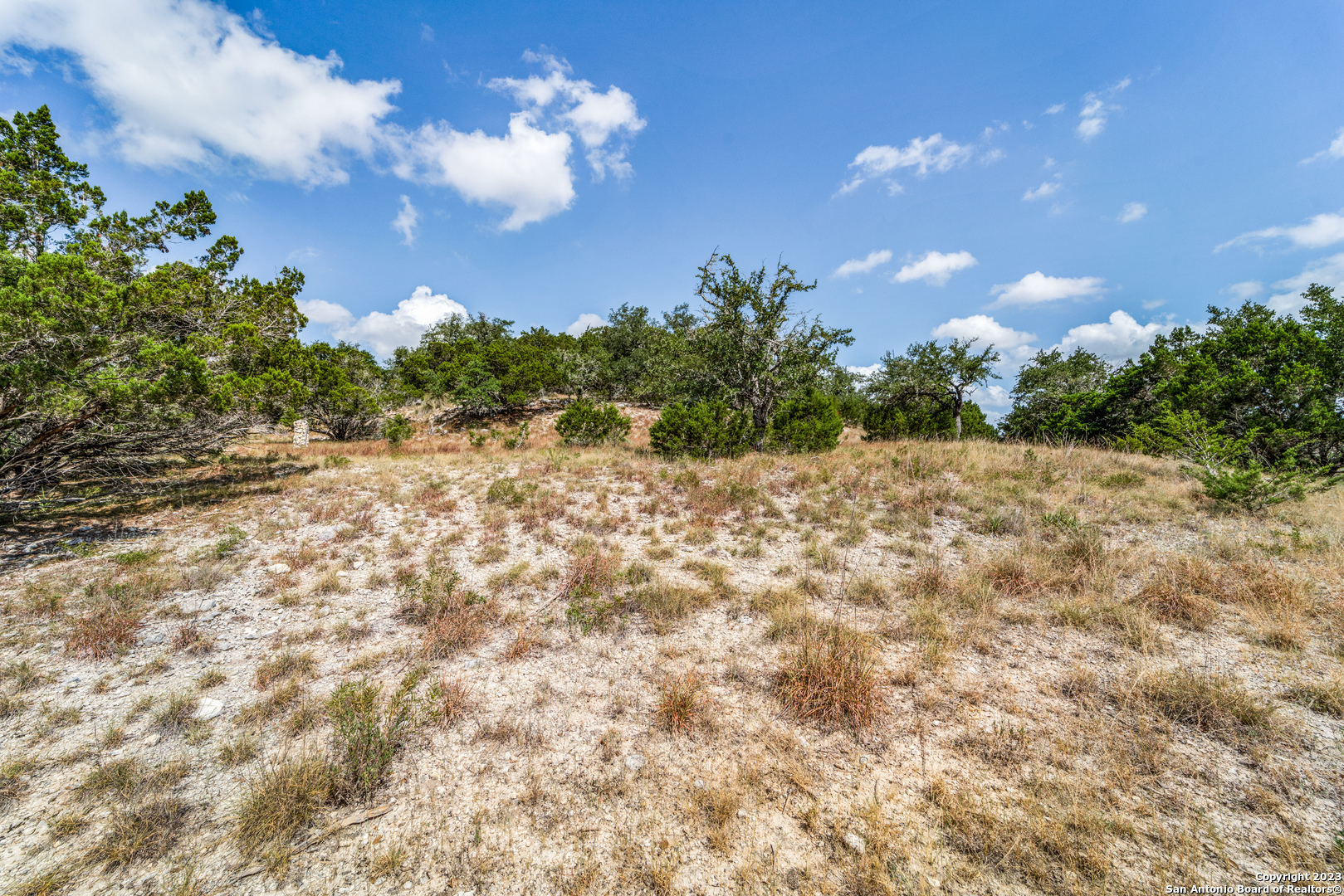 1817 Mountain Springs
