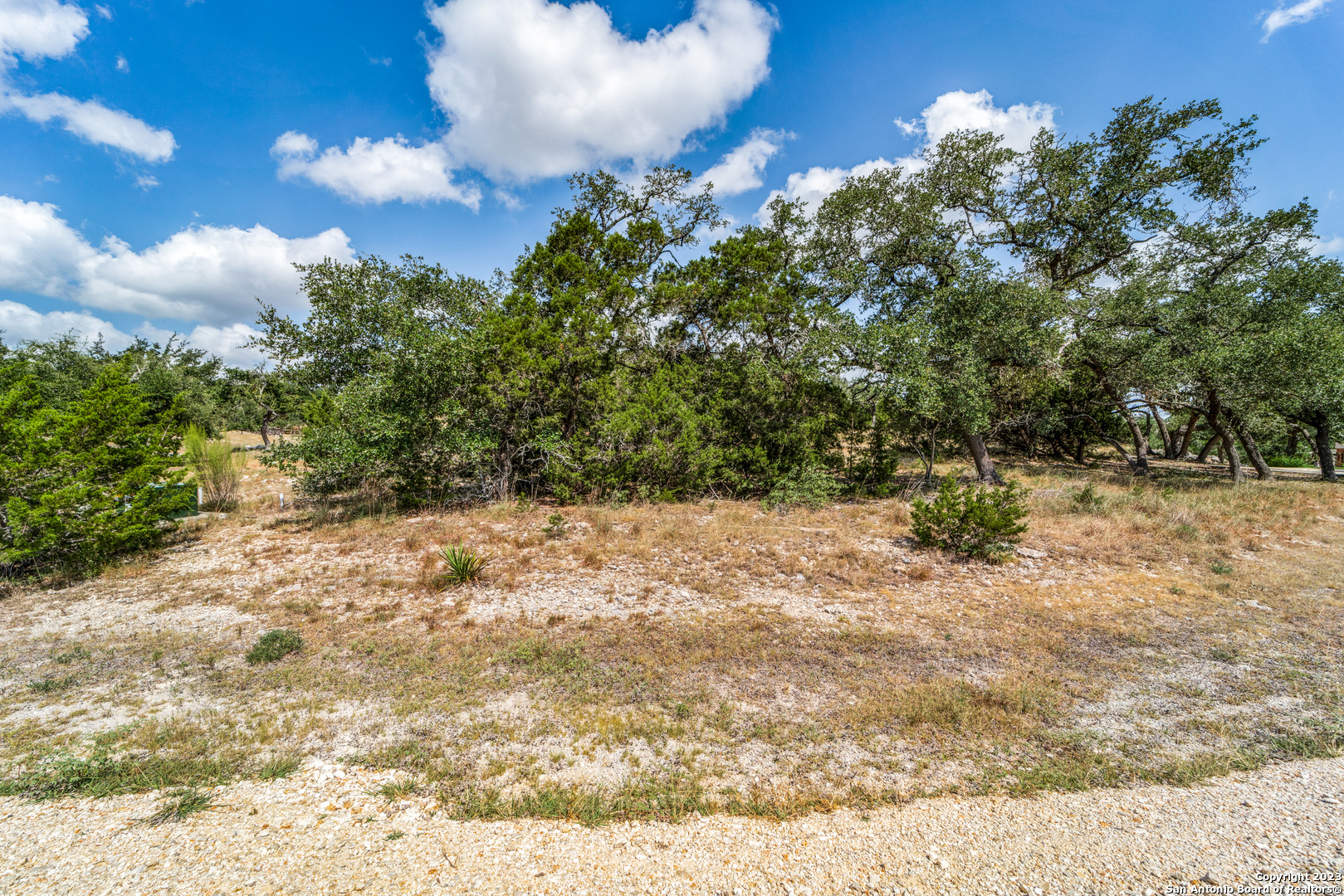 1817 Mountain Springs