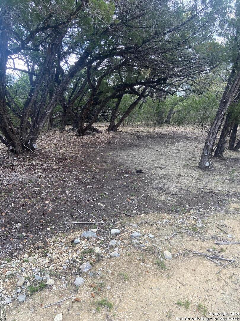 LOT 235 Center Point