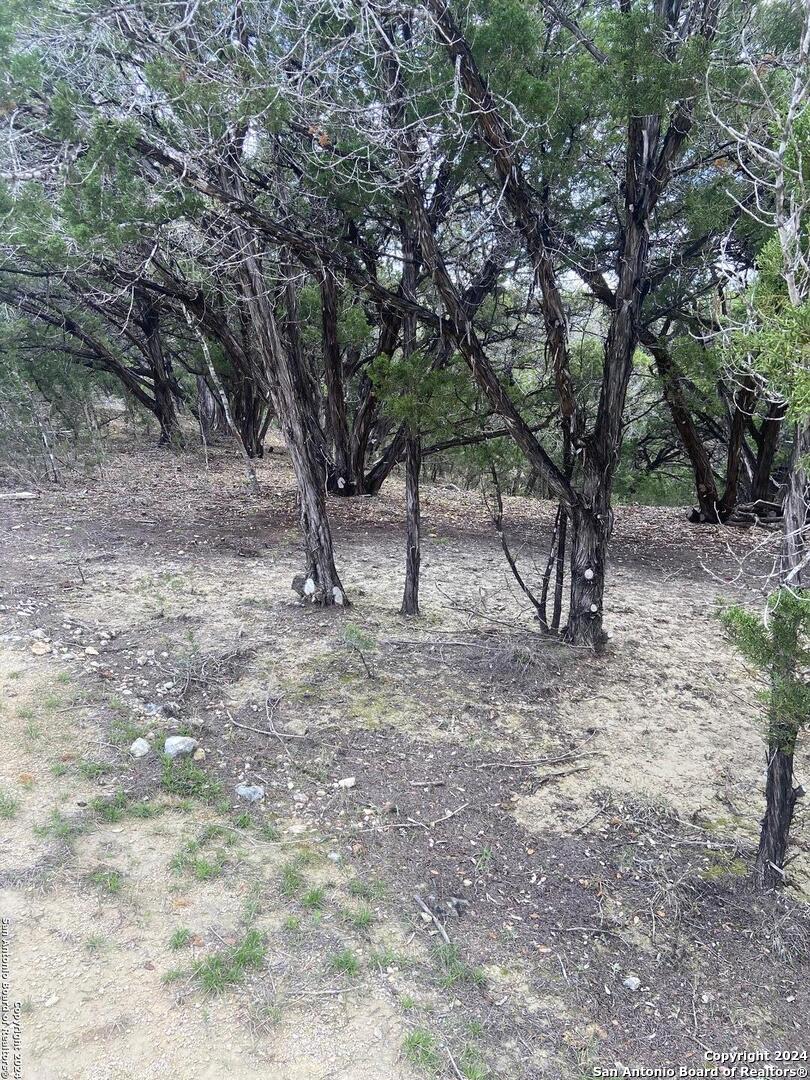 LOT 235 Center Point