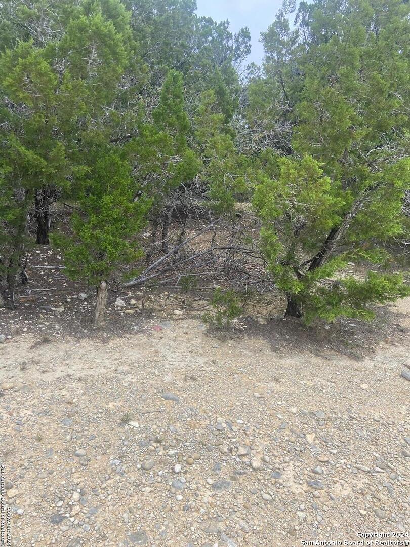LOT 235 Center Point