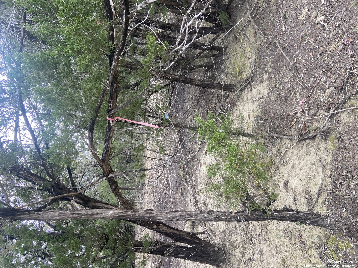 LOT 235 Center Point