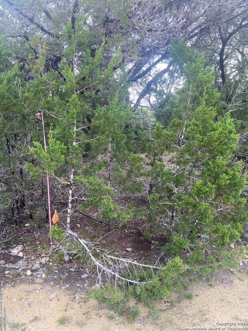LOT 235 Center Point