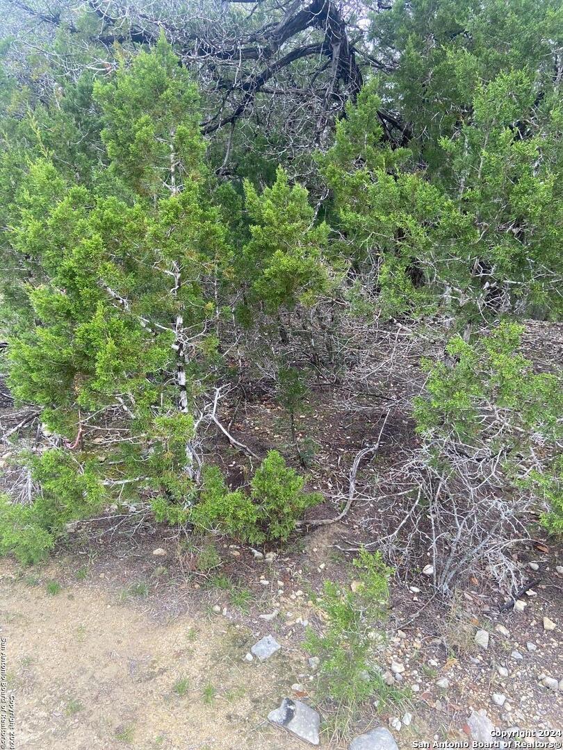 LOT 235 Center Point