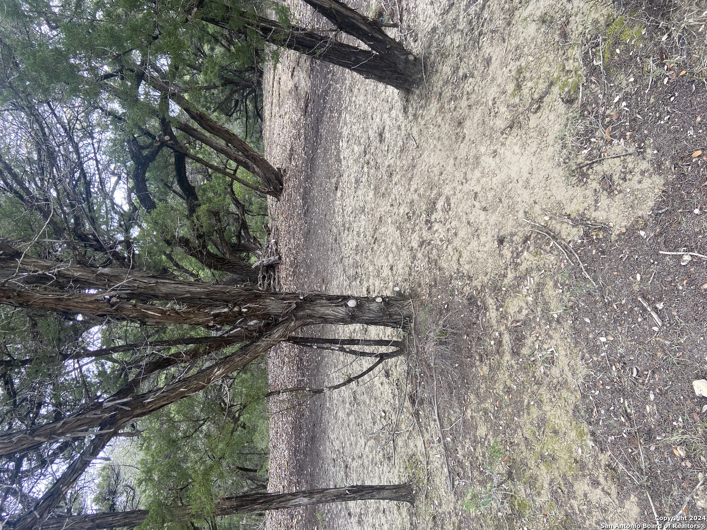 LOT 235 Center Point