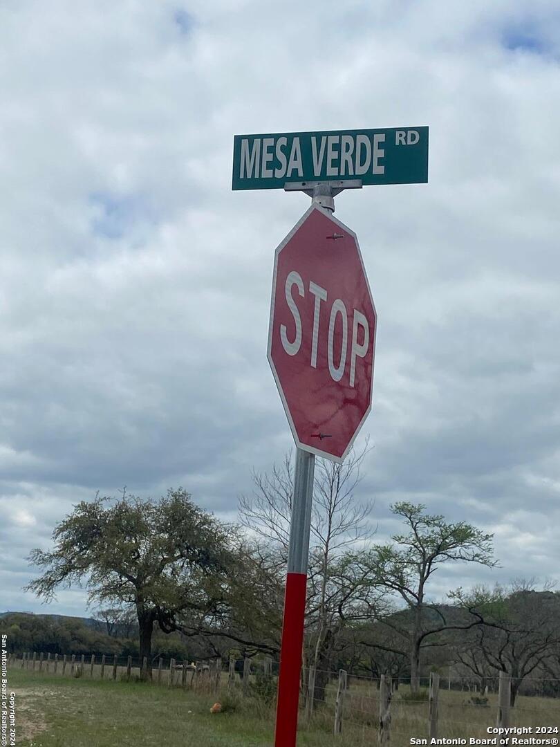 TBD Bisonte Rojo (Mesa Verde Park)
