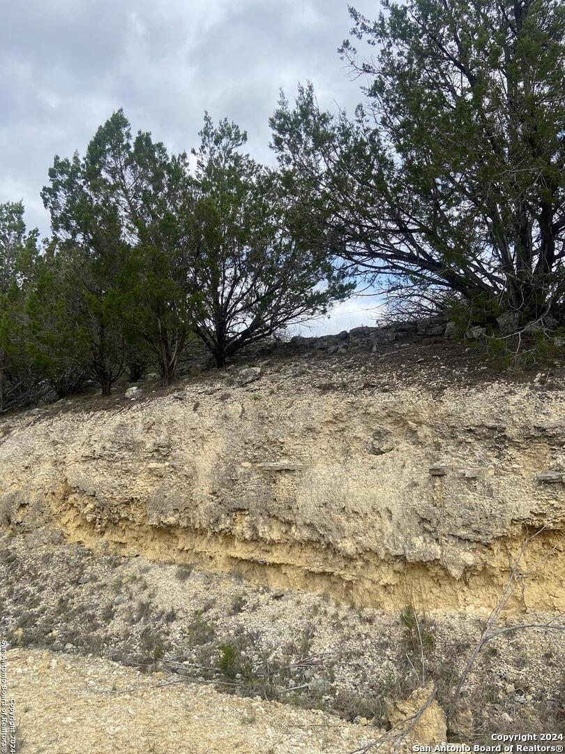 TBD Bisonte Rojo (Mesa Verde Park)