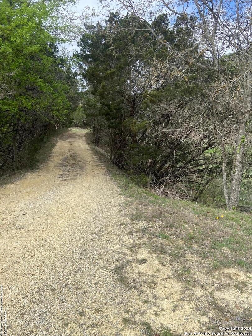 TBD Bisonte Rojo (Mesa Verde Park)