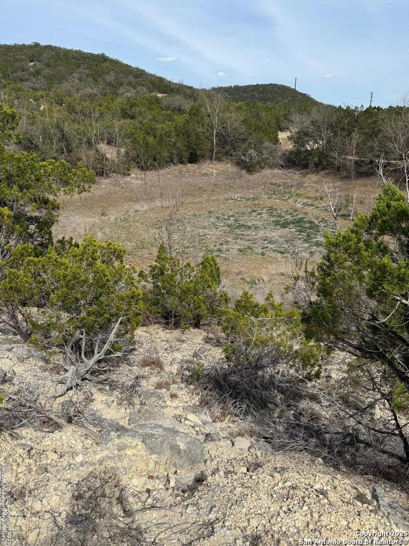 TBD Bisonte Rojo (Mesa Verde Park)