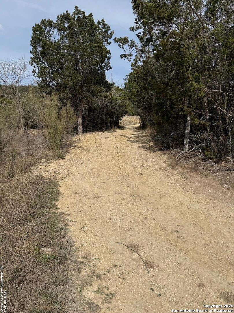 TBD Bisonte Rojo (Mesa Verde Park)
