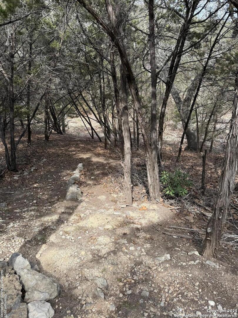 TBD Bisonte Rojo (Mesa Verde Park)
