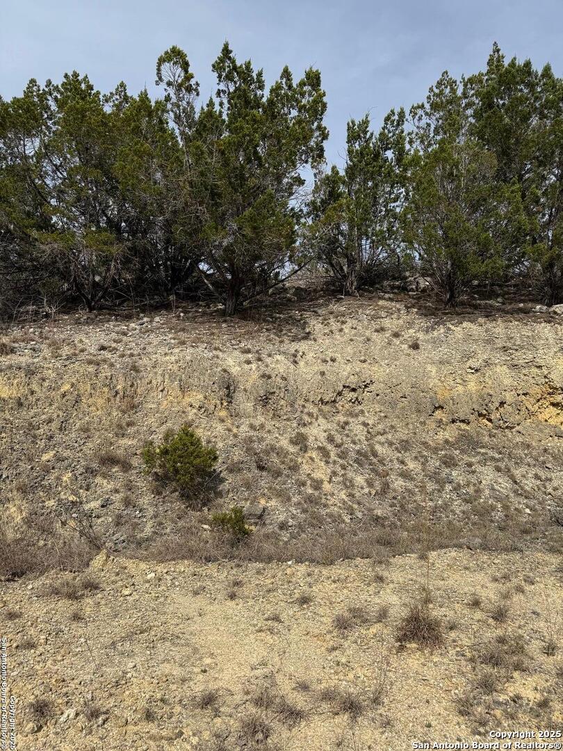 TBD Bisonte Rojo (Mesa Verde Park)