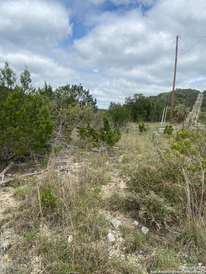 TBD Bisonte Rojo (Mesa Verde Park)
