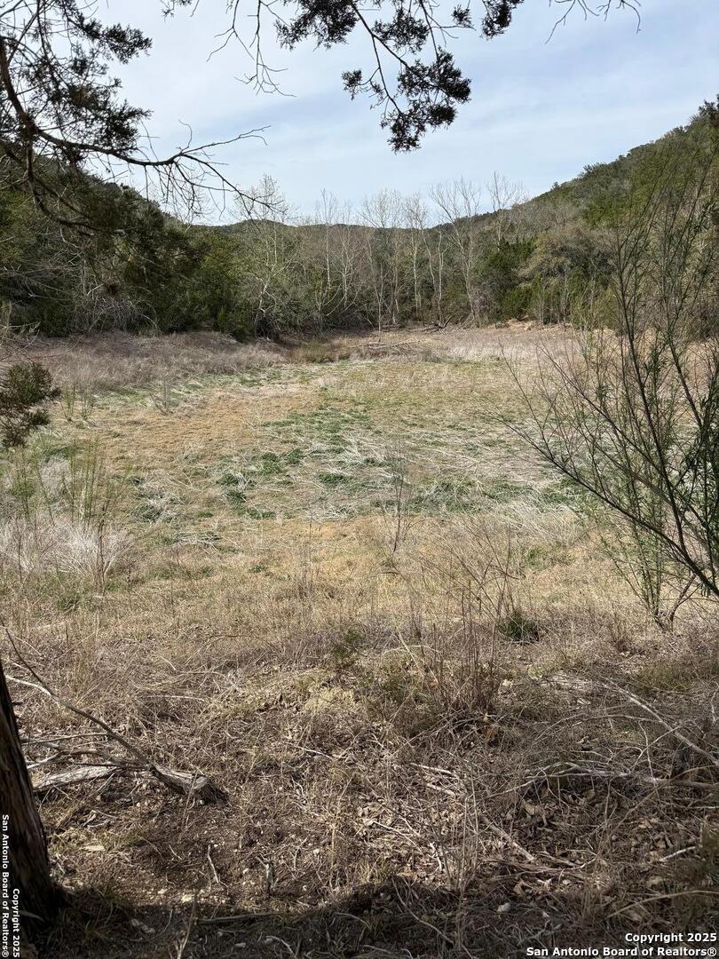 TBD Bisonte Rojo (Mesa Verde Park)