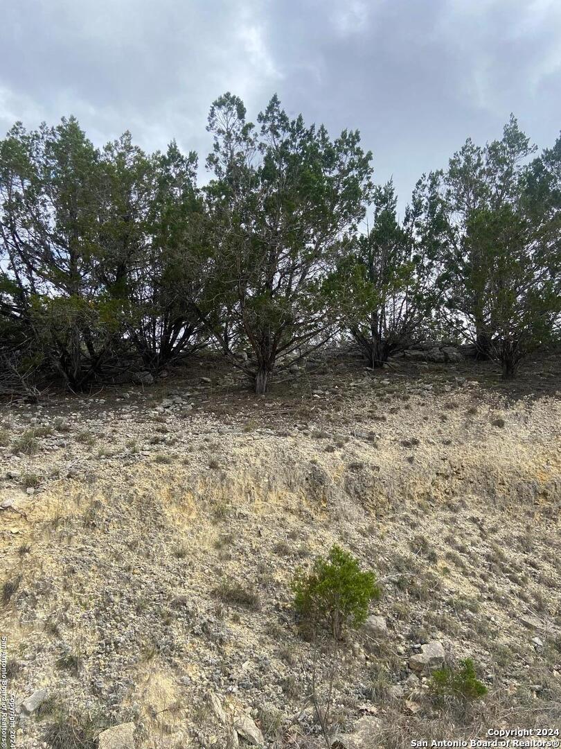 TBD Bisonte Rojo (Mesa Verde Park)