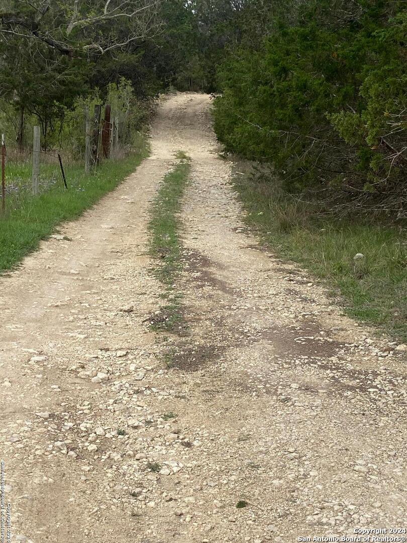 TBD Bisonte Rojo (Mesa Verde Park)