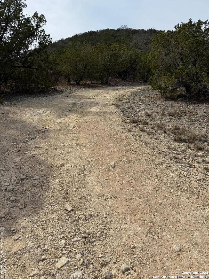 TBD Bisonte Rojo (Mesa Verde Park)