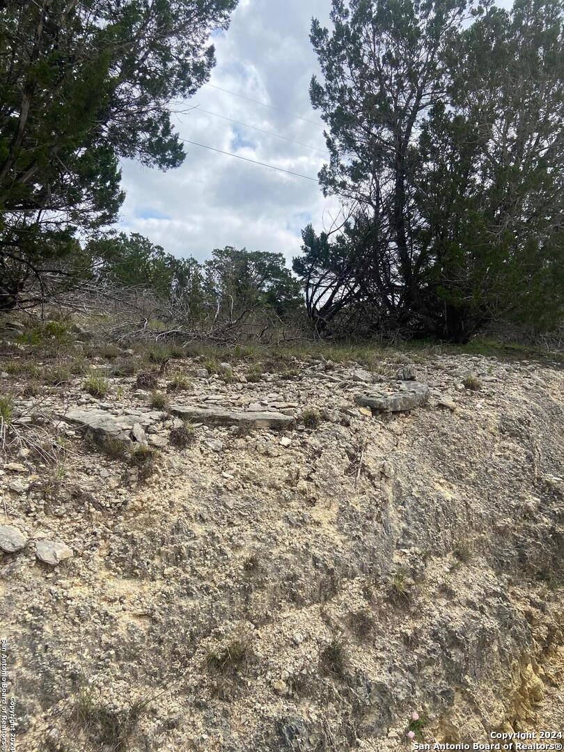 TBD Bisonte Rojo (Mesa Verde Park)