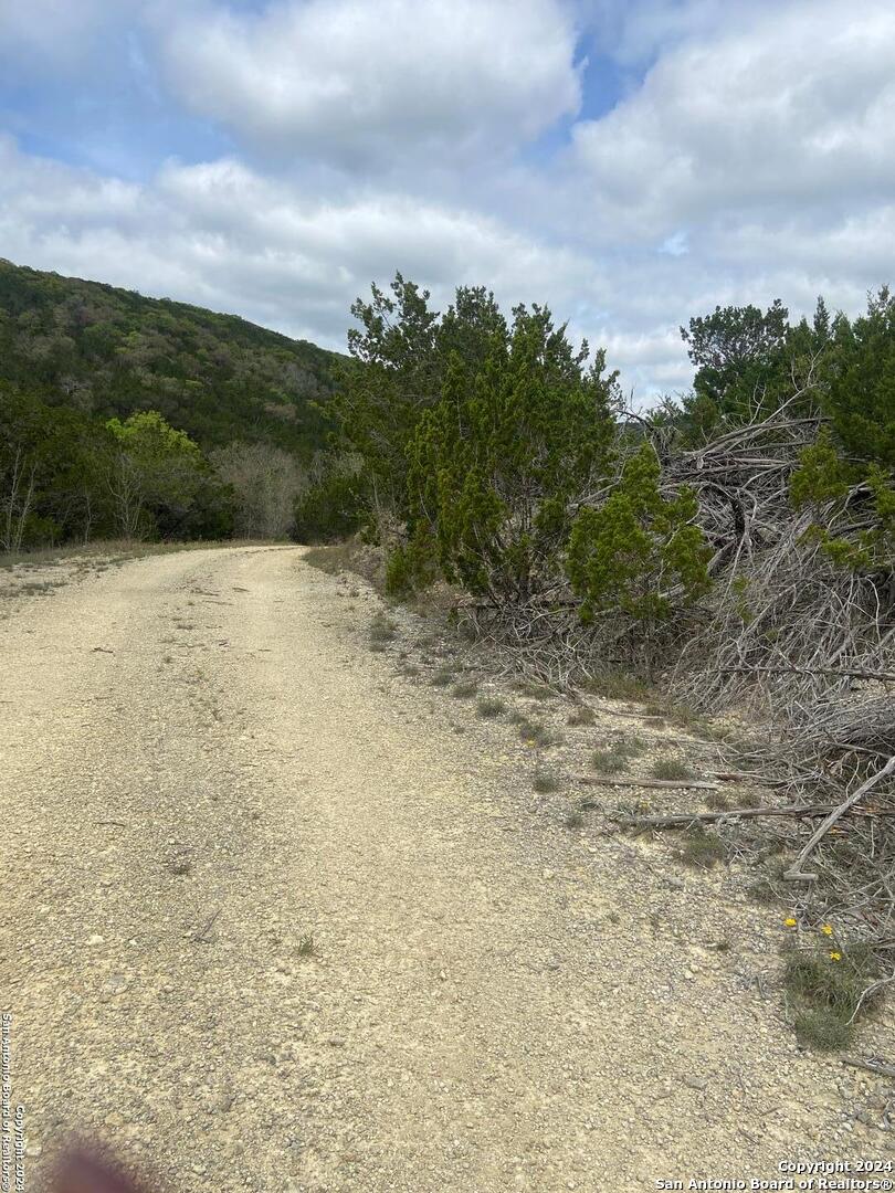 TBD Bisonte Rojo (Mesa Verde Park)