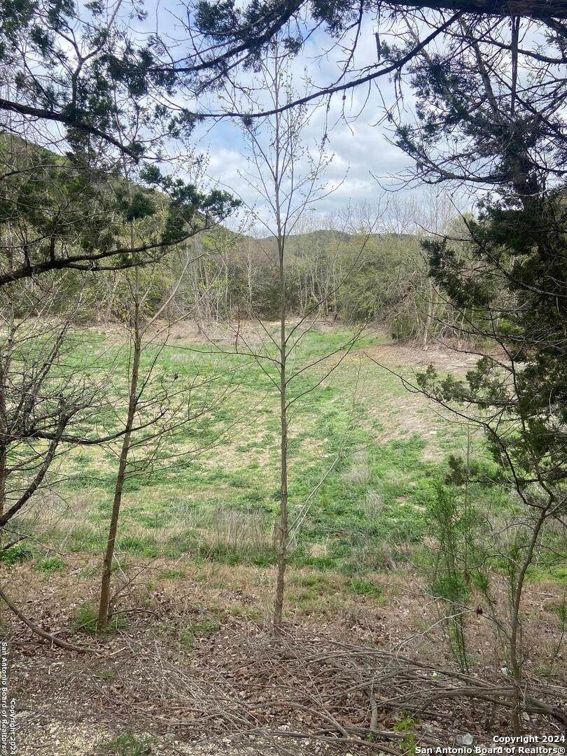 TBD Bisonte Rojo (Mesa Verde Park)