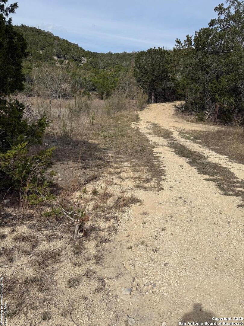 TBD Bisonte Rojo (Mesa Verde Park)