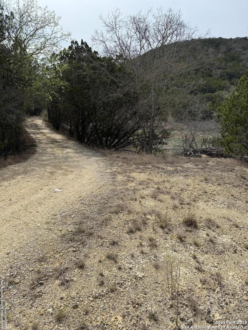 TBD Bisonte Rojo (Mesa Verde Park)