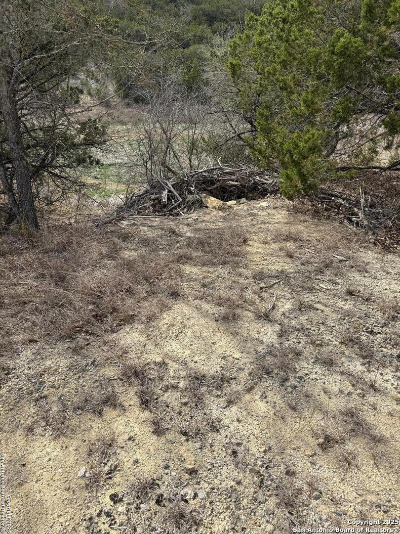 TBD Bisonte Rojo (Mesa Verde Park)