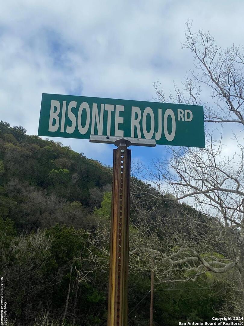 TBD Bisonte Rojo (Mesa Verde Park)