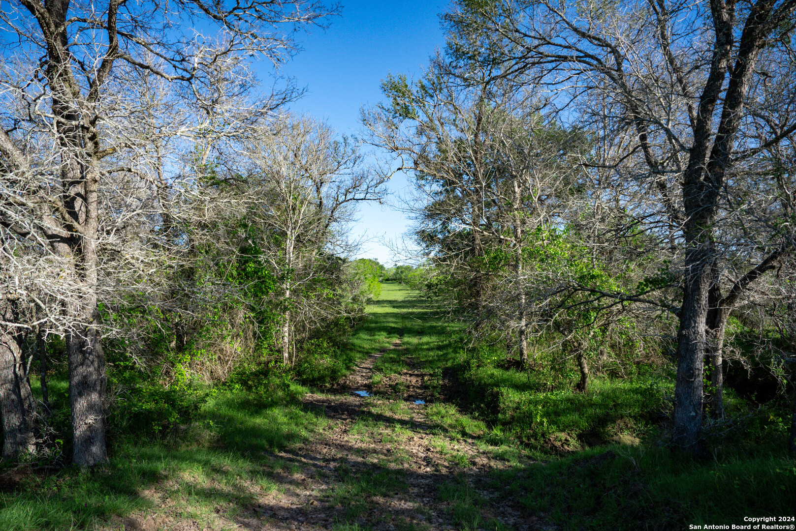 000 County Road 420