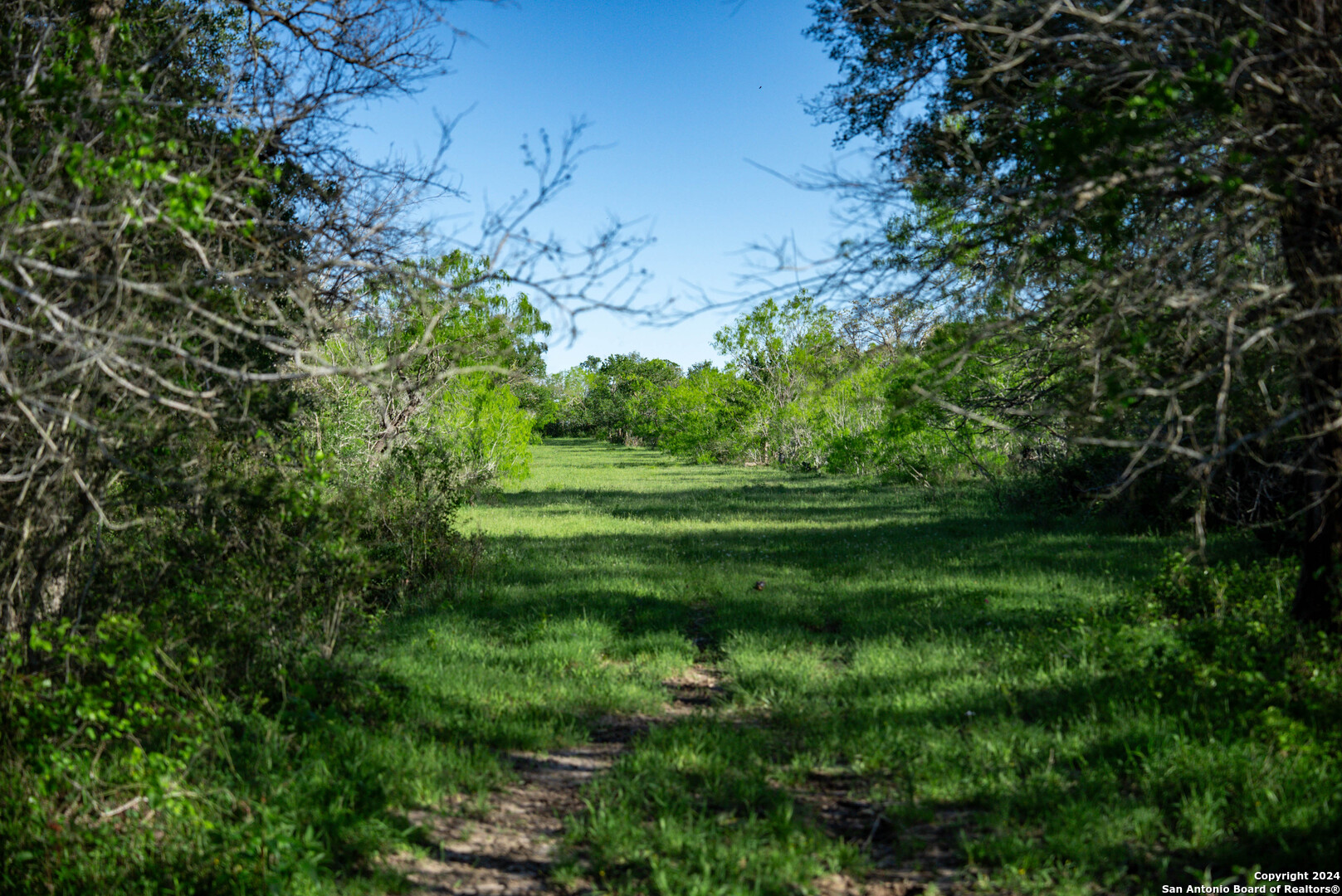 000 County Road 420