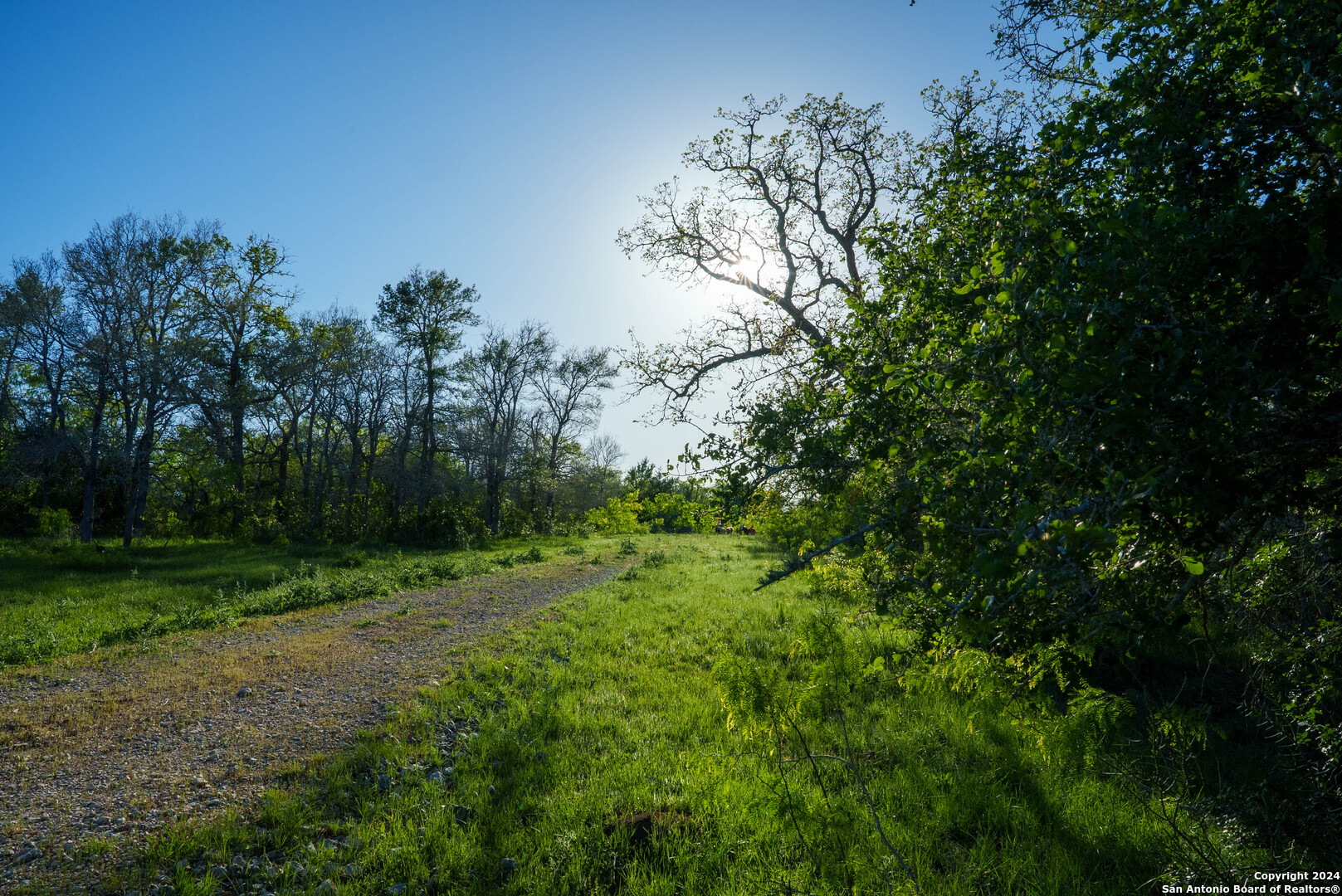 000 County Road 420