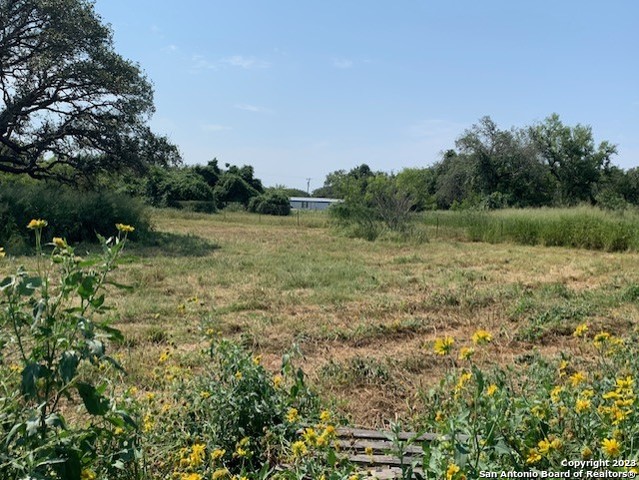529 LOW MEADOW