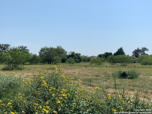 529 LOW MEADOW