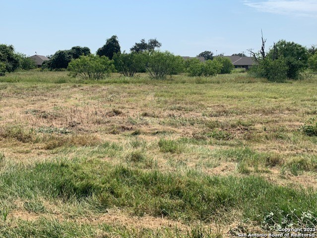 529 LOW MEADOW