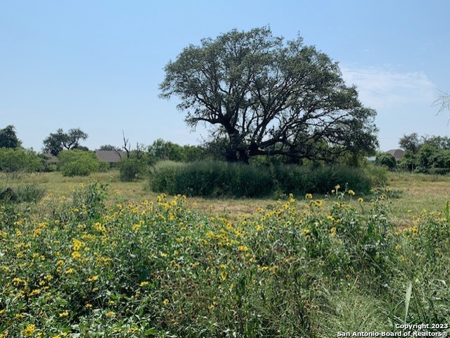 529 LOW MEADOW