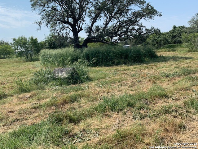 529 LOW MEADOW