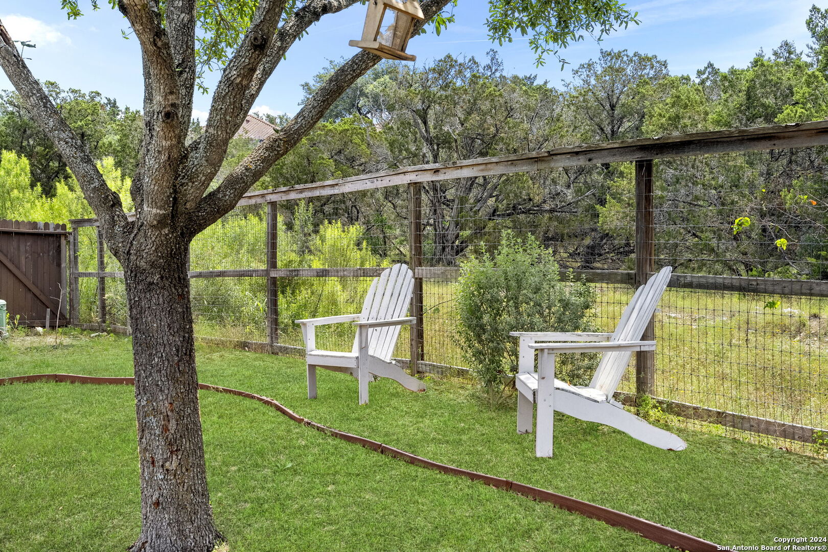 18922 HONEY MESQUITE