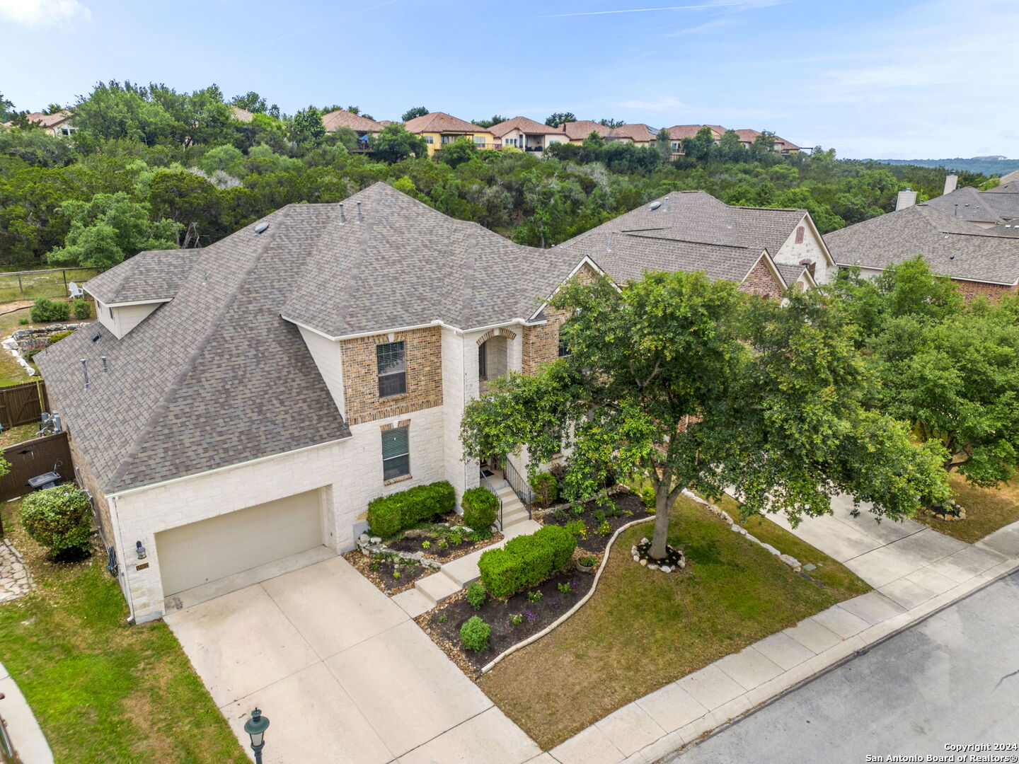 18922 HONEY MESQUITE