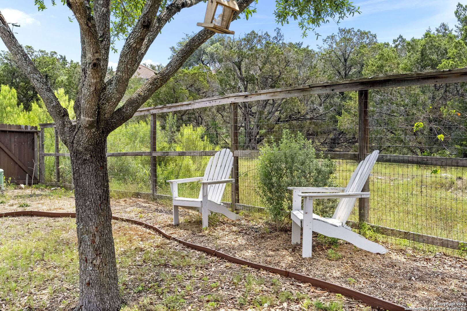 18922 HONEY MESQUITE
