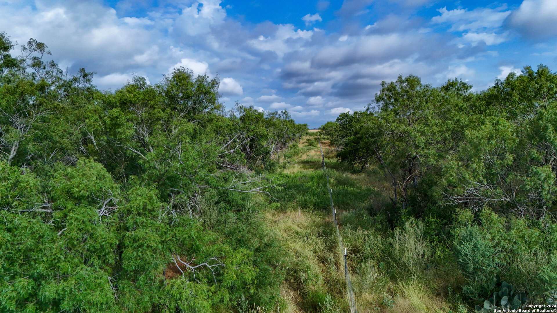 677 County Road 106